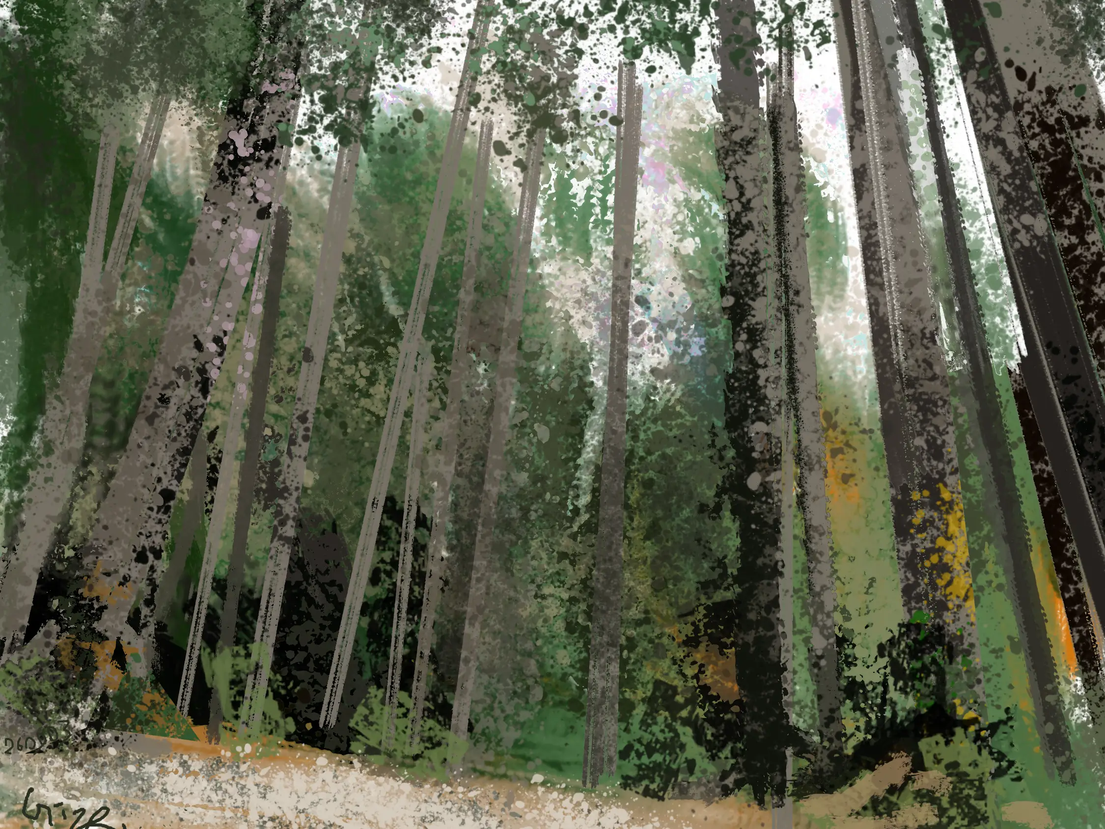jungle